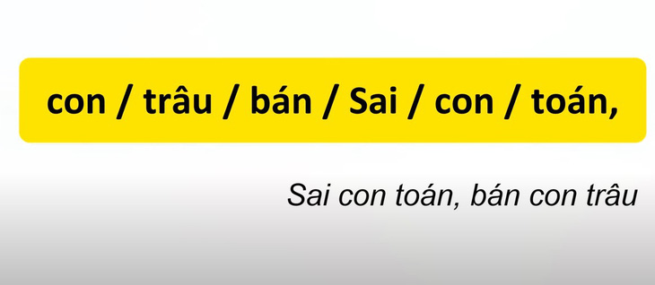 Thử tài tiếng Việt: Sắp xếp các từ sau thành câu có nghĩa (P89)- Ảnh 2.