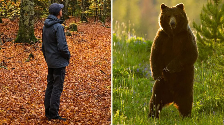 Gấu và đàn ông - Bạn chọn?