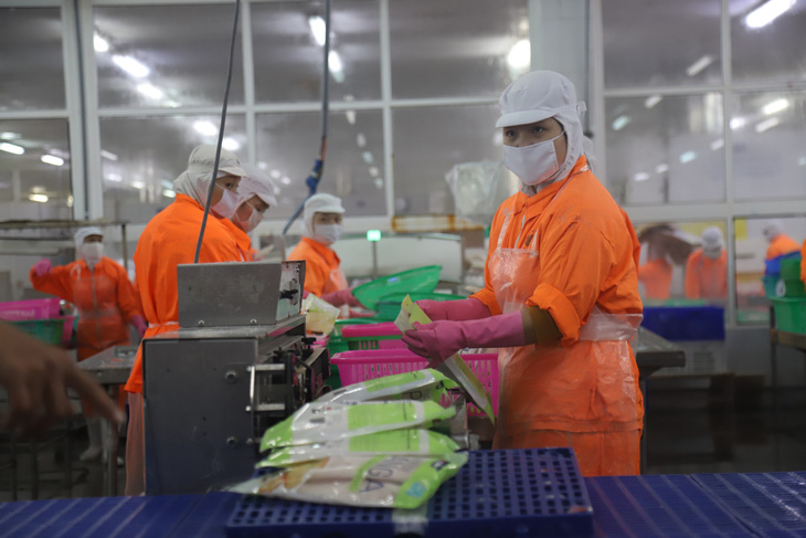 Lao động tại một nhà máy chế biến cá tra xuất khẩu ở quận Thốt Nốt, TP Cần Thơ - Ảnh: CHÍ QUỐC