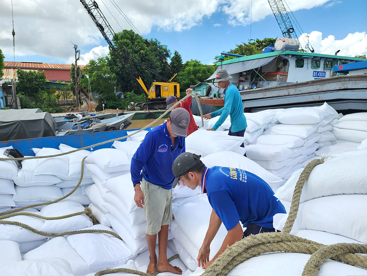 Doanh nghiệp xuất khẩu gạo tại ĐBSCL cho biết việc Philippines giảm thuế nhập khẩu là cơ hội để gạo Việt xuất khẩu vào thị trường này nhiều hơn - Ảnh: BỬU ĐẤU