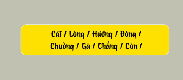 Thử tài tiếng Việt: Sắp xếp các từ sau thành câu có nghĩa (P115)- Ảnh 3.