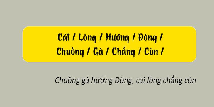 Thử tài tiếng Việt: Sắp xếp các từ sau thành câu có nghĩa (P115)- Ảnh 4.