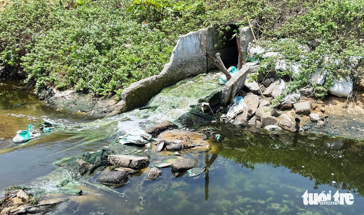 Nước xả thải từ các hồ nuôi tôm trên địa bàn thôn Phú Hải có màu đục, hôi thối - Ảnh: BẢO PHÚ