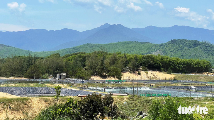 Khu vực hồ nuôi tôm bị người dân thôn Phú Hải phản ánh xả nước thải hôi thối ra môi trường - Ảnh: BẢO PHỦ