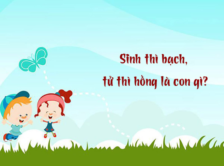 Sinh thì bạch, tử thì hồng là con gì?- Ảnh 1.