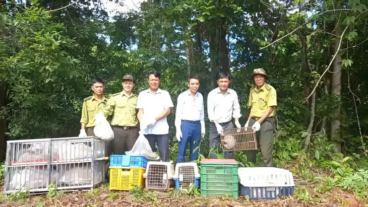 Chi cục Kiểm lâm TP.HCM phối hợp Khu bảo tồn thiên nhiên - văn hóa Đồng Nai thả 29 động vật hoang dã về môi trường tự nhiên - Ảnh do lực lượng chức năng cung cấp