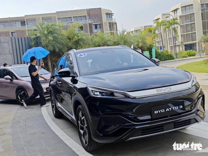 BYD rầm rộ tổ chức lái thử tại Việt Nam cho ba mẫu xe điện, nhưng chưa có giá bán chính thức - Ảnh: CÔNG TRUNG