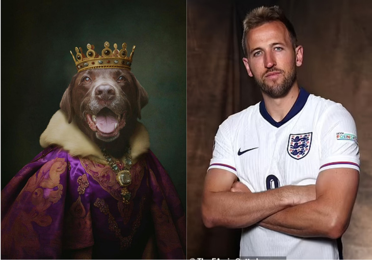Tuyển Anh dùng chó cưng giúp cầu thủ 'như ở nhà' tại Euro 2024- Ảnh 5.