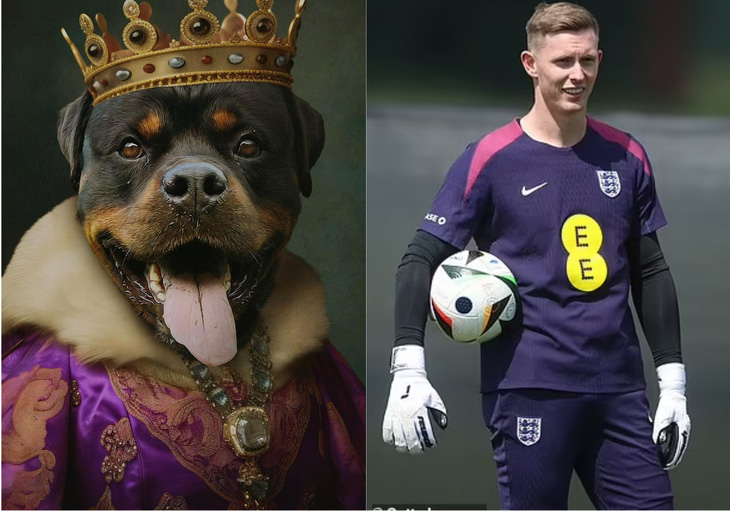 Tuyển Anh dùng chó cưng giúp cầu thủ 'như ở nhà' tại Euro 2024- Ảnh 6.