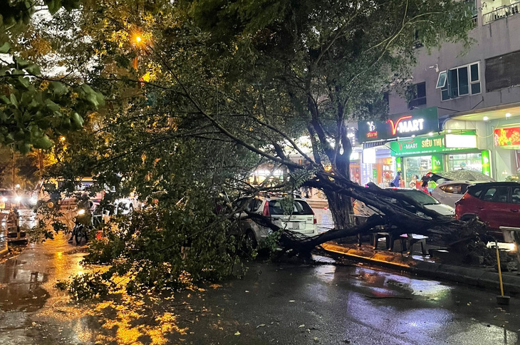 Một cây ở khu Linh Đàm (Hoàng Mai, Hà Nội) đổ vào xe ôtô trong cơn mưa dông -  Ảnh: NGUYỄN VĂN LINH