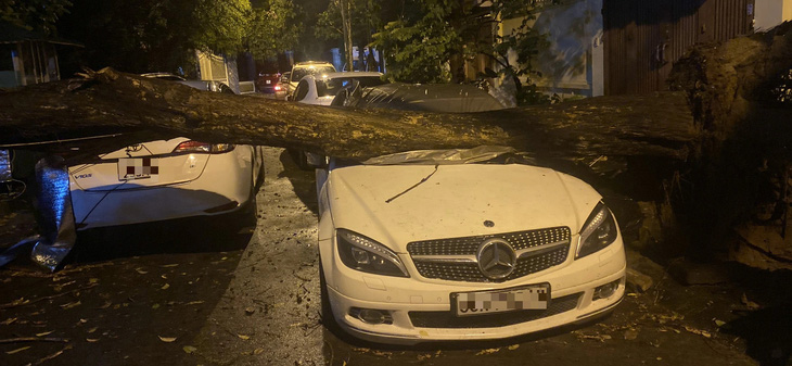 Cây lớn đổ sập đè lên hai chiếc xe ô tô tại phường Hoàng Liệt, Hoàng Mai - Ảnh: QUANG VIỄN