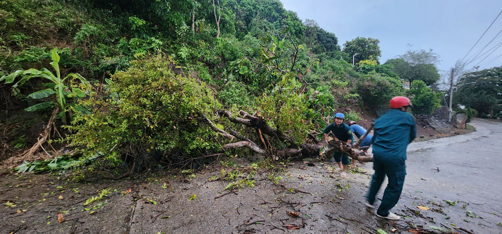Mưa lớn kèm theo lốc xoáy đã làm nhiều cây xanh đổ ngã ở xã Hòn Tre (huyện Kiên Hải, Kiên Giang) - Ảnh: LÊ VŨ