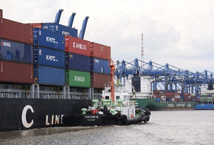 Các hãng tàu đang ưu tiên chở container rỗng về Trung Quốc để phục vụ xuất khẩu hàng sang Mỹ - Ảnh: QUANG ĐỊNH