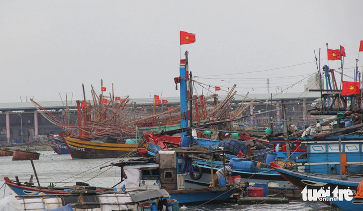 Tàu cá miền Trung ở cảng cá Thọ Quang - Ảnh: TRƯỜNG TRUNG
