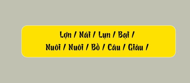 Thử tài tiếng Việt: Sắp xếp các từ sau thành câu có nghĩa (P118)- Ảnh 3.