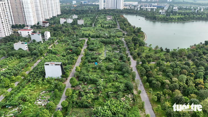 Một góc khu đất quy hoạch đất biệt thự và đến nay chủ đầu tư vẫn chưa được UBND TP Hà Nội phê duyệt chuyển đổi quy hoạch sang đất liền kề - Ảnh: DANH KHANG