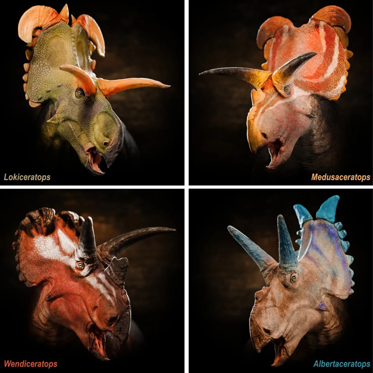 Tái tạo chân dung 4 loài khủng long sống cùng nhau ở phía bắc Montana (Mỹ) và phía nam Alberta (Canada) - Ảnh: Fabrizio Lavezzi