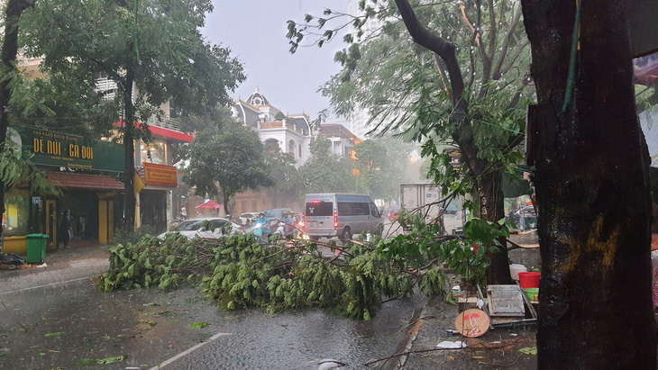 Cơn mưa dông ở Hà Nội làm cây cối gãy đổ hôm 16-6 - Ảnh: T.L.
