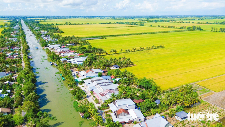 Kiên Giang là một trong những tỉnh ở miền Tây có diện tích trồng lúa lớn - Ảnh: CHÍ CÔNG