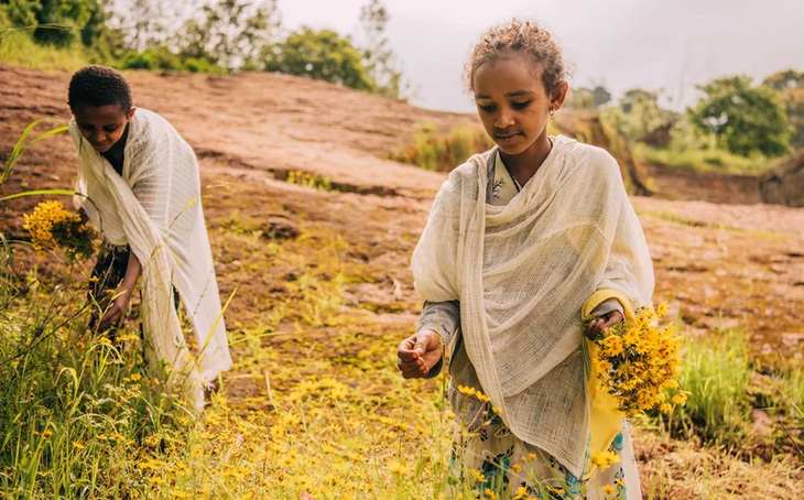 Hoa Adey Abeba bản địa bung nở là báo hiệu về năm mới tại Ethiopia -  Ảnh: CNN