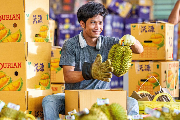Thái Lan khuyến cáo nông dân khi Trung Quốc tự trồng được sầu riêng- Ảnh 1.