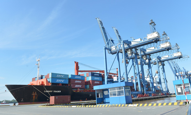 Xuất nhập khẩu hàng hóa qua đường tàu biển tại cảng Cát Lái - Ảnh: TỰ TRUNG