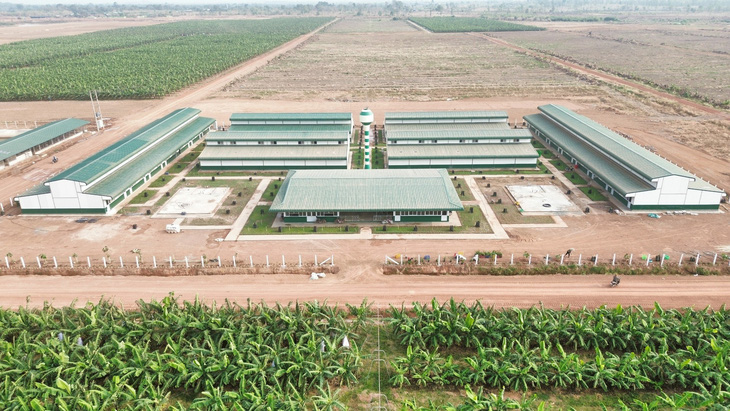 Khu nhà ở tại Nông trường DP1.1 KLH Koun Mom được THACO AGRI đầu tư khang trang, tiện nghi - Ảnh: THACO AGRI.