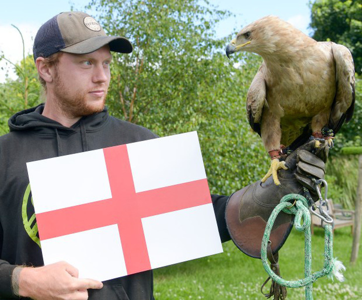 ‘Đại bàng tiên tri Honey’ dự đoán tuyển Anh thắng đậm Slovakia- Ảnh 1.
