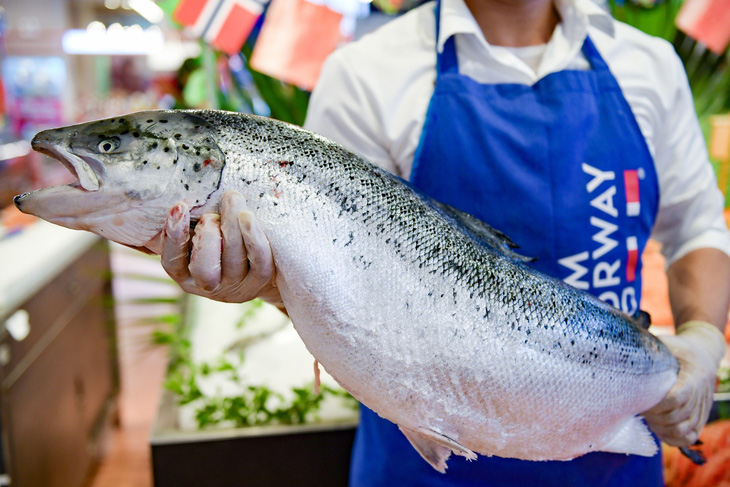 4 tháng đầu năm nay, Việt Nam chi khoảng 2.000 tỉ đồng để nhập khẩu hải sản từ Na Uy - Ảnh: NAM TRẦN