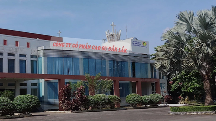 Công ty cổ phần Cao su Đắk Lắk - Ảnh: V.L.