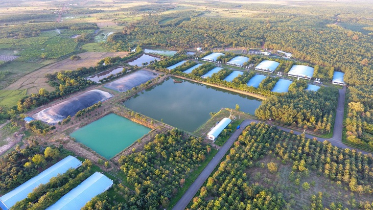 Mô hình trang trại bền vững của CPV (Green Farm)