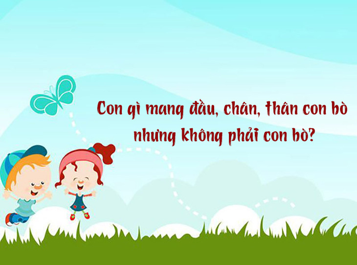 Con gì đầu, chân, thân con bò nhưng không phải con bò?- Ảnh 1.