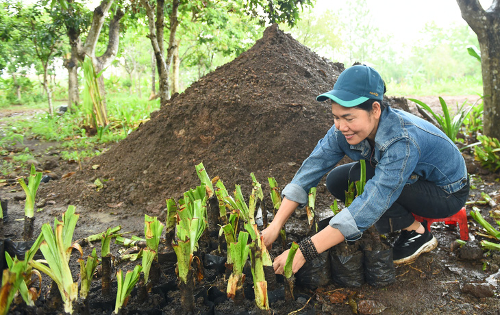 Chị Cồ Phi Hường trong Hội Bảo vệ thiên nhiên và môi trường TP.HCM vô bầu cây giống mang theo lòng yêu thương đến Trường Sa