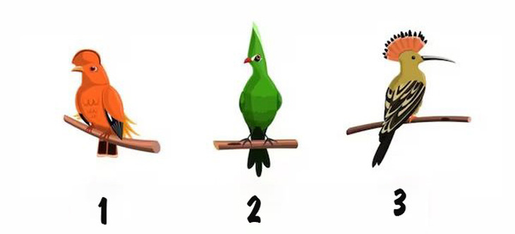 Quiz: Loài chim yêu thích hé lộ tính cách bí ẩn của bạn- Ảnh 1.