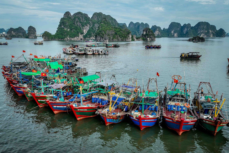 Tàu thuyền ở Quảng Ninh neo đậu trong vịnh Hạ Long để tránh trú cơn bão số 1 năm 2023 - Ảnh: NGUYỄN KHÁNH
