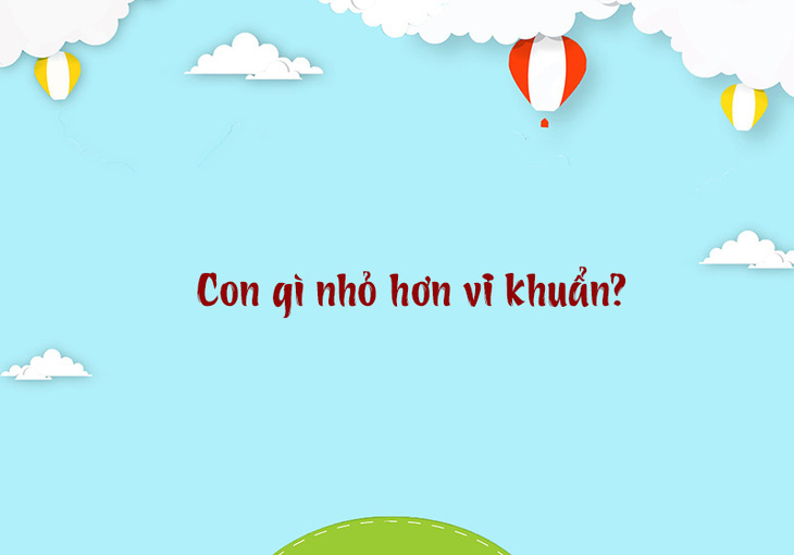 Từ nào trong tiếng Việt có ba chữ Y?- Ảnh 3.