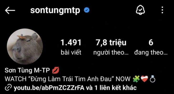 Ca sĩ Sơn Tùng đổi ảnh đại diện Instagram thành Capybara khiến tên tuổi của chú chuột lang nước khổng lồ càng lan tỏa rộng rãi - Ảnh: INSTAGRAM