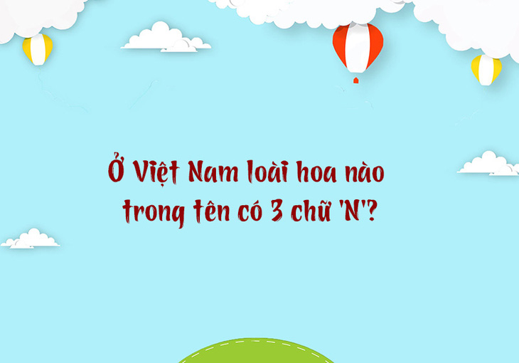 Từ nào trong tiếng Việt có 12 chữ 'M'?- Ảnh 3.