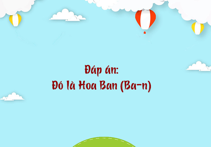 Từ nào trong tiếng Việt có 12 chữ 'M'?- Ảnh 4.