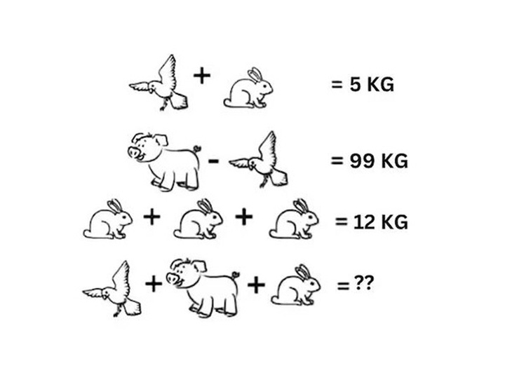 Người IQ cao mới giải được bài toán này trong 20 giây- Ảnh 1.