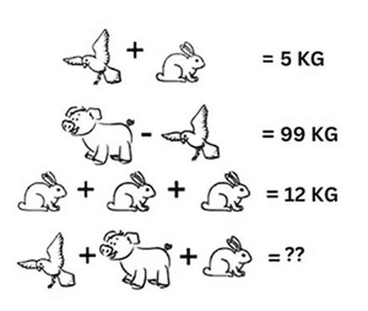 Người IQ cao mới giải được bài toán này trong 20 giây- Ảnh 2.