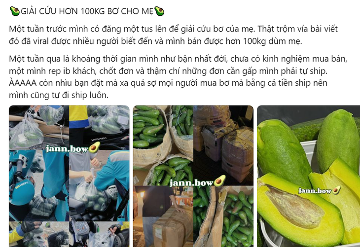 Một trong số các bài viết bán bơ của Ngọc - Ảnh: NVCC