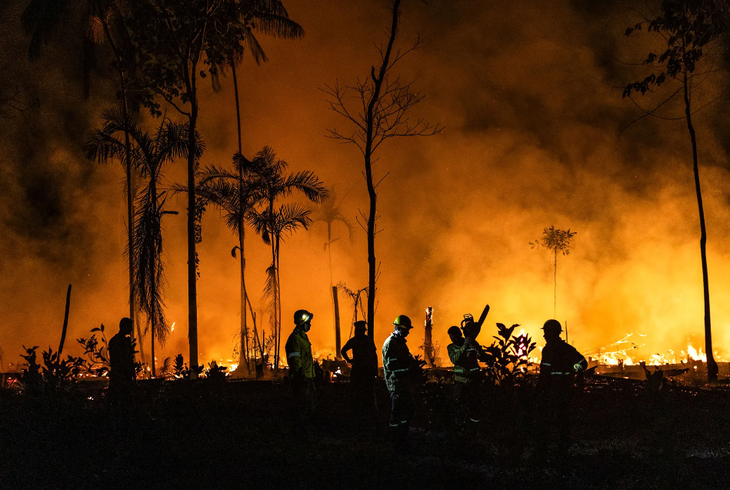 Một đám cháy rừng gần Careiro, Brazil - Ảnh: EPA