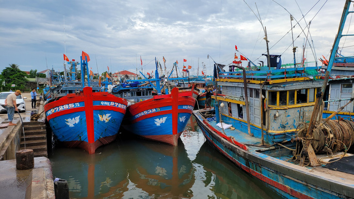 Nếu không giải ngân hết số tiền bố trí năm nay, Bộ Nông nghiệp và Phát triển nông thôn sẽ xem xét dừng cấp vốn năm 2025 - Ảnh: TRẦN MAI