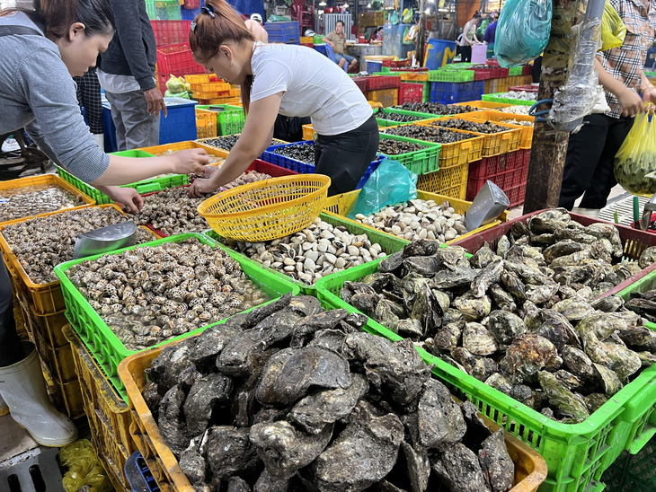 Hàu Việt Nam và các loại hải sản khác được bán tại chợ đầu mối Bình Điền (quận 8, TP.HCM) - Ảnh: THẢO THƯƠNG