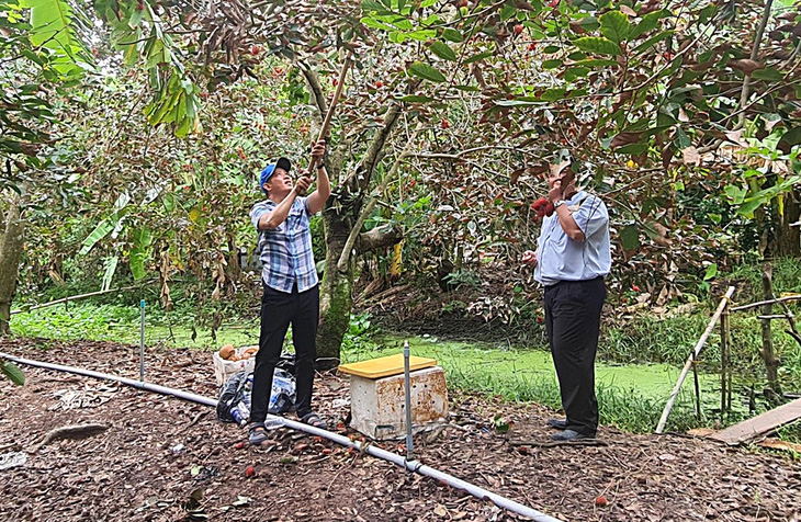 Lùm xùm khách du lịch tố bỏ tiền đi thăm vườn trái cây mà vườn... trống hoắc- Ảnh 1.