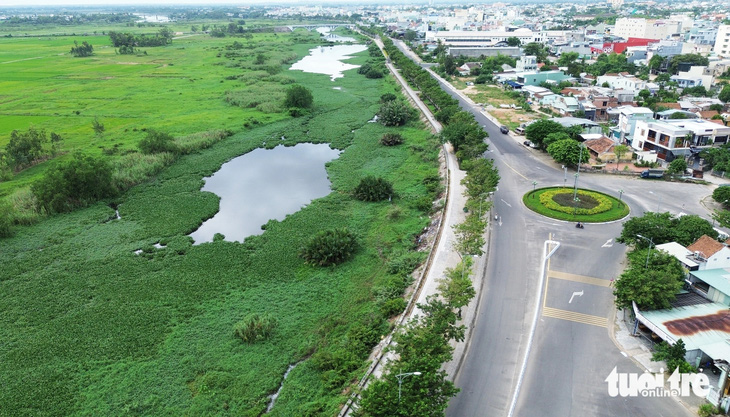 Lục bình phủ kín gây tắc nghẽn, sông Bàn Thạch chờ được giải cứu- Ảnh 1.