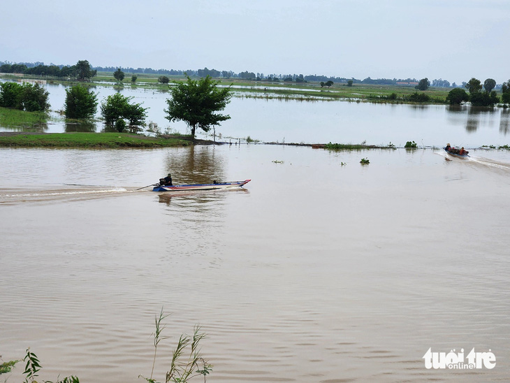 Cánh đồng phường Nhơn Hưng, thị xã Tịnh Biên giáp với xã Vĩnh Tế, TP Châu Đốc, tỉnh An Giang đã có nước tràn đồng - Ảnh: BỬU ĐẤU