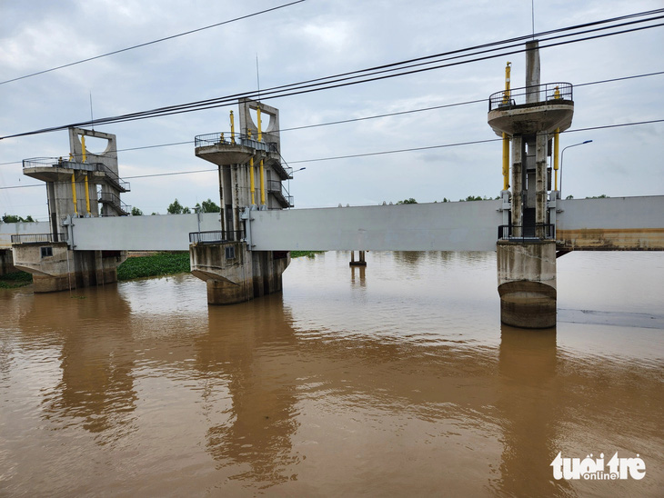 Cống Trà Sư đã mở cửa cho nước đỏ nặng phù sa chảy về hạ nguồn - Ảnh: BỬU ĐẤU