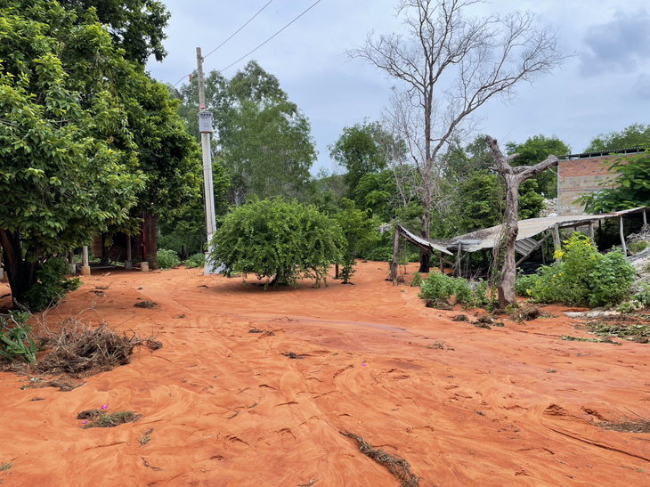 Cát đỏ từ trên đồi cao tràn xuống hướng biển lúc sáng 27-7 ở phường Phú Hài, TP Phan Thiết, Bình Thuận - Ảnh: MAI THỨC